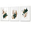 Set of 3 Green, Beige and Gold Prints of Abstract Oil Paintings Wall Art Prints / 42x59cm (A2) / White Frame