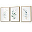 Set of 3 Green Blue Watercolour Eucalyptus Set 2 Wall Art Prints / 30x42cm (A3) / Oak Frame