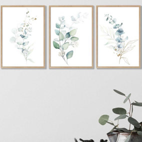 Set of 3 Green Blue Watercolour Eucalyptus Set 2 Wall Art Prints / 42x59cm (A2) / Oak Frame