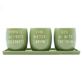 Set of 3 Green Slogan Ceramic Planters with Tray
