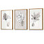 Set of 3 Grey and Beige Botanical Sketch Leaves Wall Art / 42x59cm (A2) / Oak Frame
