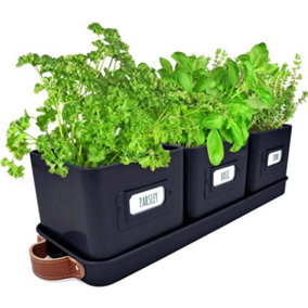 Set of 3 Herb Planter Pots for Kitchen Windowsill Black with Leather Handled Tray Ideal for an Indoor Garden Labels Included