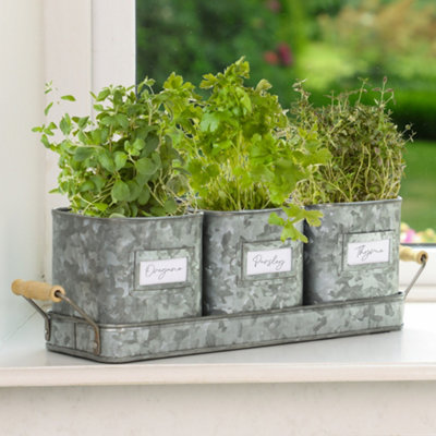 Set of 3 Kitchen Herb Planter Pots with Fitted Tray Windowsill Indoor Outdoor Garden Planter Set