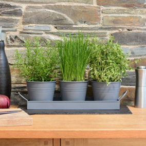 Set of 3 Metal Herb Plant Pots with Saucer Tray Indoor Windowsill Kitchen Planter (Charcoal Grey)