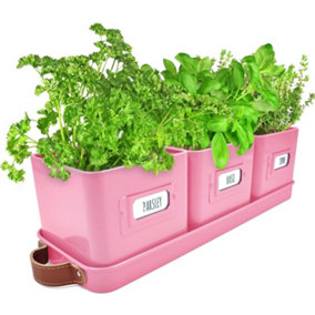 Set of 3 Pink Herb Planter Indoor with Leather Handled Tray Labels Included for Kitchen Windowsill