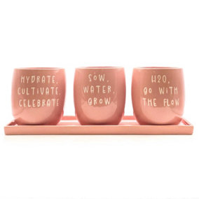 Set of 3 Pink Slogan Ceramic Planters with Tray