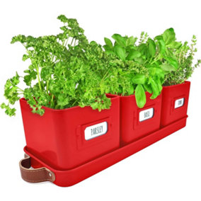 Set of 3 Red Herb Planter Indoor with Leather Handled Tray Labels Included for Kitchen Windowsill