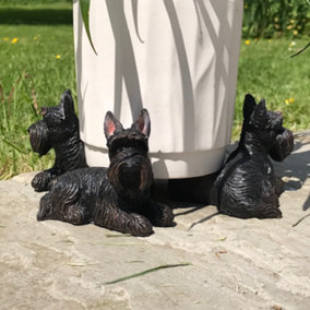 Set of  3 Scottie Dog shaped plant pot stands, great novelty  patio decoraion and Scottish Terrier lover gift