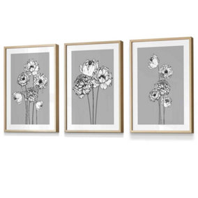 Set of 3 Sketch Art Peonies on Grey Wall Art Prints / 30x42cm (A3) / Oak Frame