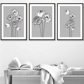 Set of 3 Sketch Art Peonies on Grey Wall Art Prints / 42x59cm (A2) / Black Frame