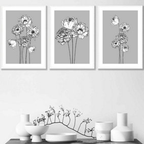 Set of 3 Sketch Art Peonies on Grey Wall Art Prints / 42x59cm (A2) / White Frame
