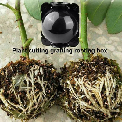 Set of 3 Small Plant Rooting Balls High Pressure Propagation Boxes for ...