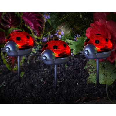 Set of 3 Solar Powered Ladybird Stake Lights - Weatherproof Outdoor Garden Novelty LED Lighting for Path, Border or Pots