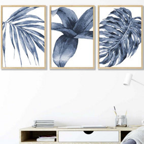 Set of 3 Tropical Plants Navy Blue Abstract Wall Art Prints / 42x59cm (A2) / Oak Frame