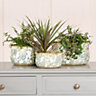 Set of 3 Turquoise Round Scallop Hallway Room Table Decor Garden Planter Pots