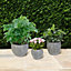 Set of 3 Vintage Style Metal Planters Embossed Flower Pots Outdoor Garden Plant Pot Patio Decking Garden Gift