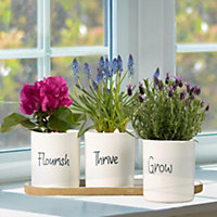 Set of 3  Windowsill Ceramic Indoor Outdoor Summer Garden Planter Pot