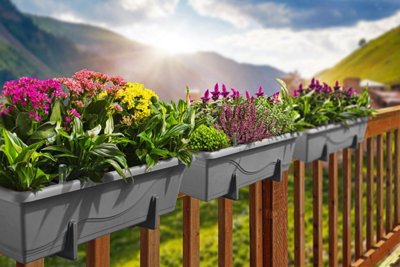 Set of 3x 800mm - Self-watering  planters, troughs, Flowerpots for balconies - W78 D21 H17cm, 16.8L - Self-watering - Stone Grey