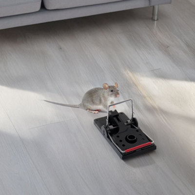 Set of 4 Plastic Mouse Trap Mice Traps Rodent Trap Rat Mouse Control