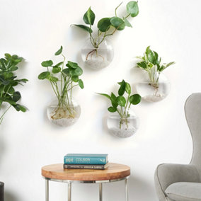 Set of 4 Wall Hanging Glass Terrariums Glass Oblate Globe Plants 15cm W x 15cm H