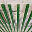 Set of 40 Plastic Coated Metal Plant Support Sticks (80cm)