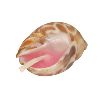 Set of 5 Scented Candles With Small Shell Shaped Holders by Laeto Ageless Aromatherapy - FREE DELIVERY INCLUDED - 6