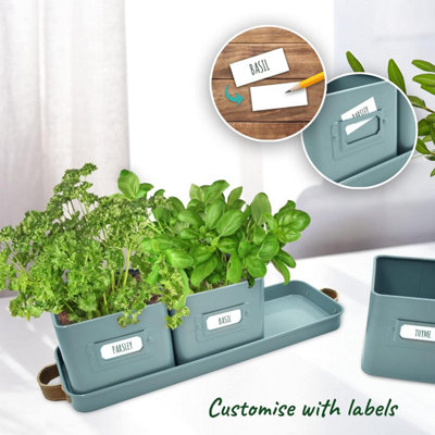 Set of 6 Herb Planters with Tray Indoor/Outdoor Garden Herb Planter ...