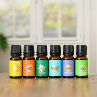 Set of 6 Scented Fragrance Oil Set for Bathromm Perfect for Gift