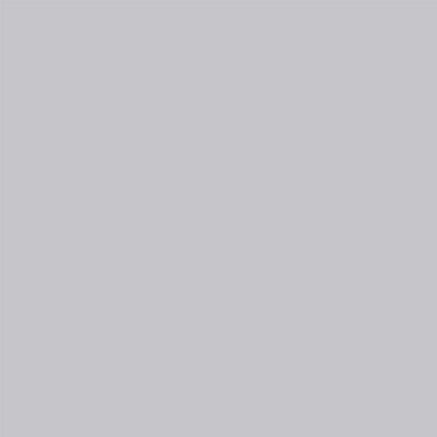 Shabby Chic By Rachel Ashwell Grey Lady 2.5lt Multi-Surface Paint