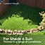 Shade & Sun Grass Seed - Lawn Seed for Shaded Areas 5kg (70-200m²)