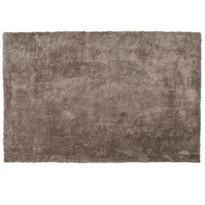 Shaggy Area Rug 200 x 300 cm Light Brown EVREN