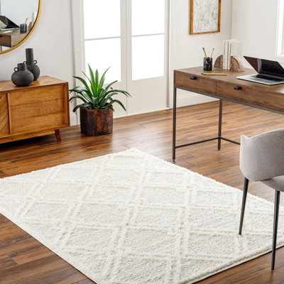 Shaggy Modern Plush Pile Light Grey Afarin Area Rug 120 x 170 cm - Easy ...