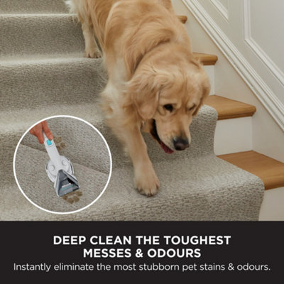 Shark CarpetXpert Deep Carpet Cleaner with Built-In StainStriker EX200UK - 5