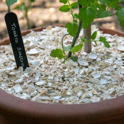 Shell On Earth Crushed Whelk Shells - Sustainably Sourced Natural Slug ...