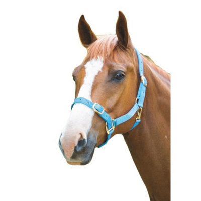 Shires Adjustable Horse Headcollar Baby Blue (Full) Price Comparisons | Compare The Build