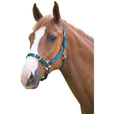 Shires Adjustable Horse Headcollar Green (X Full) Price Comparisons | Compare The Build