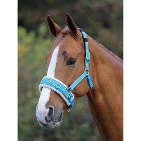 Shires Fleece Lined Horse Lunge Cavesson Blue (Cob)