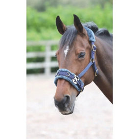 Shires Fleece Lined Horse Lunge Cavesson Navy (Cob)