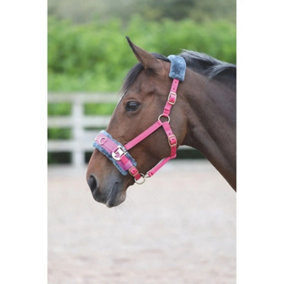 Shires Fleece Lined Horse Lunge Cavesson Pink (Cob)
