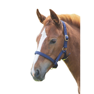 Shires Foal Headcollar Navy (Foal/Mini) Price Comparisons | Compare The Build