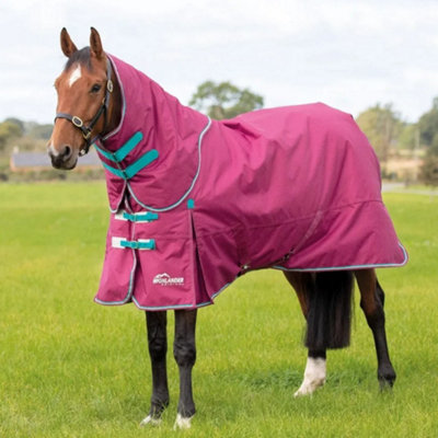 Shires Highlander Original Standard-Neck 300g Horse Turnout Rug & Neck Cover Raspberry (6) Price Comparisons | Compare The Build