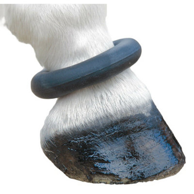 Shires Leather Horse Fetlock Ring Black (One Size) Price Comparisons | Compare The Build