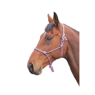 Shires Rope Horse Headcollar Pink/Black (One Size) Price Comparisons | Compare The Build