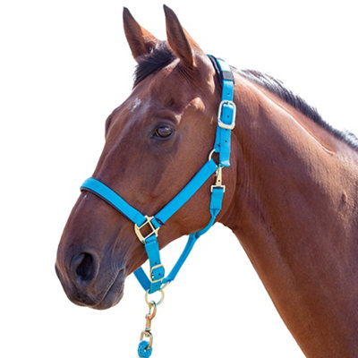 Shires Topaz Nylon Horse Headcollar Blue (Pony) Price Comparisons | Compare The Build
