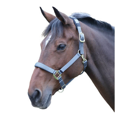Shires Topaz Nylon Horse Headcollar Grey (Small Pony) Price Comparisons | Compare The Build