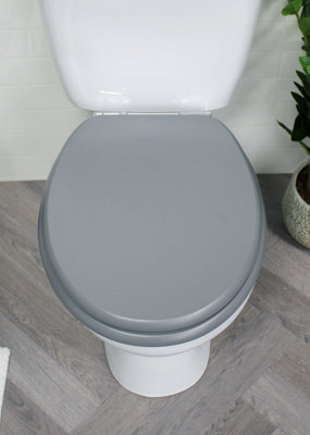 Chrome deals toilet seat