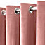 Sienna Capri Supersoft Velvet Eyelet Lined Curtains - Blush Pink, 66" x 72