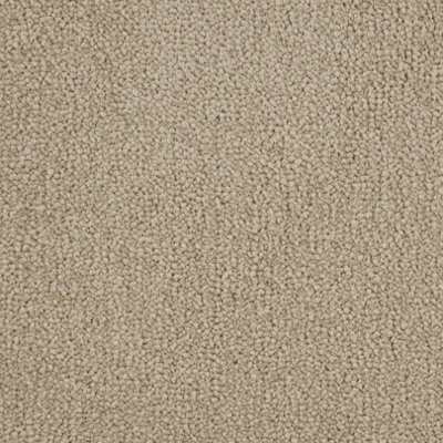 Signature Twist Bleach Cleanable Carpet by Remland (Vixen, 1m x 4m)