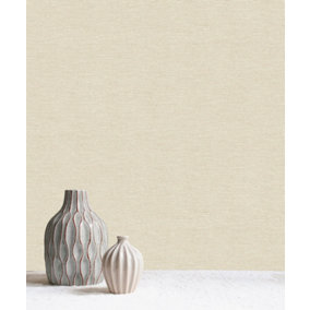 Silver Birch Luxury Textured Plain Wallpaper - Neutral / Gold