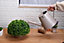 Simpa 3L Matt Mushroom Metal Watering Can with Watering Rose